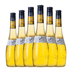 Schnapps Bols 70 cl Mango (Caja de 6 unidades)
