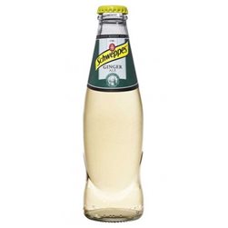 Schweppes Ginger Ale 25 CL (Pack 24 Stück)