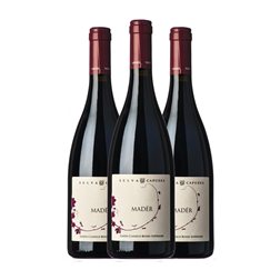 Selva Capuzza Madér Garda Classico Superiore 75 cl Vino Tinto (Caja de 3 unidades)