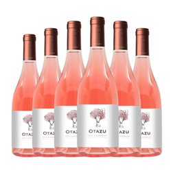 Señorío de Otazu Tempranillo Navarra Rosé — Rosado 75 cl Vino Rosado (Caja de 6 unidades)