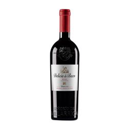 Señorío de Villarrica Delicia de Baco Rioja Crianza Botella Magnum 1,5 L Vino Tinto