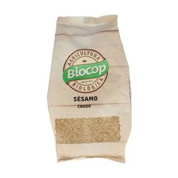 SESAMO CRUDO S/TOSTAR 500 GR BIO
