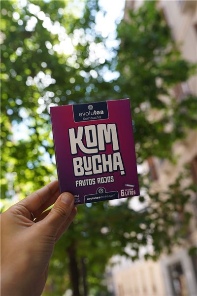 Set de kombucha de experto-detalle