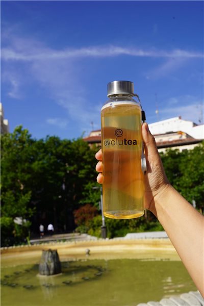 Set de kombucha de experto-trasera