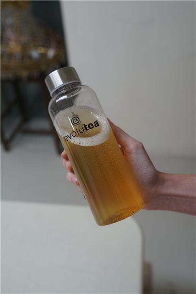 Kombucha starter kit-lateral