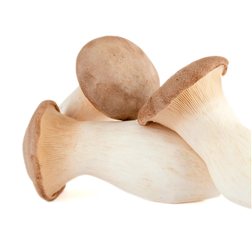 Eryngii Mushroom (cultivated boletus), 1/4 kilo