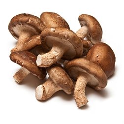 Shiitake-Pilz 500 Gramm Paket