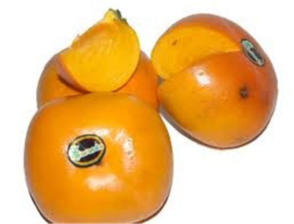 "SHARONIS" parece ser un nombre propio o una palabra que no requiere traducción. Sin embargo, si necesitas una traducción o contexto específico, por favor proporciona más información.-trasera