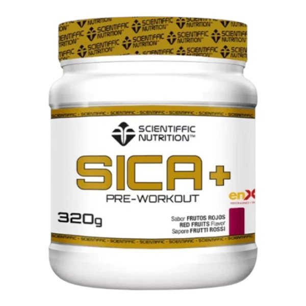 SICA + 320 Gr-lateral