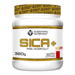 SICA + 320 Gr