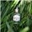 SIDERIT Gin London Dry 43% Vol, 50ml - Craft gin distilled in Cantabria with 12 botanicals, including rock tea. Distillation in glass for maximum purity and aromatic balance.-lateral