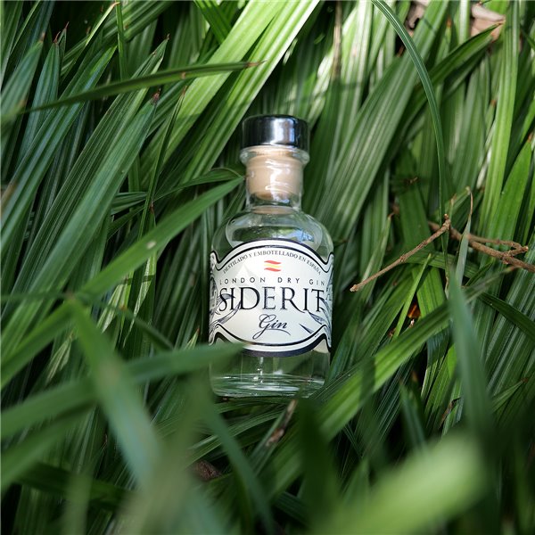 SIDERIT Gin London Dry 43% Vol, 50ml - Craft gin distilled in Cantabria with 12 botanicals, including rock tea. Distillation in glass for maximum purity and aromatic balance.-lateral
