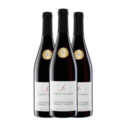 Siegbert Bimmerle Pinot Negro Trocken — Seco Baden Kabinett — Cosecha Madura 75 cl Vino Tinto (Caja de 3 unidades)