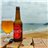 SMACH Cerveza Artesana SDR Pale Ale – 5% Vol, 33 cl – Rubia Refrescante, Natural y Sin Filtrar-izquierda