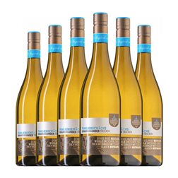 Sommerach Familiengewächs Pinot Gris Trocken — Seco Franken Colección Familiar 75 cl Vino Blanco (Caja de 6 unidades)