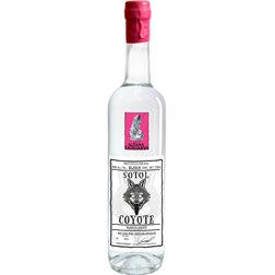 Sotol Coyote Triunfo del Desierto Chihuahua