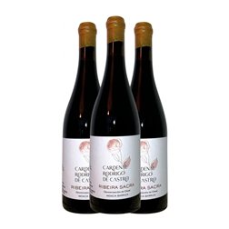 Soutelo Cardenal Rodrigo de Castro 7 Meses Mencía Seco Ribeira Sacra Barrica 75 cl Vino Tinto (Caja de 3 unidades)