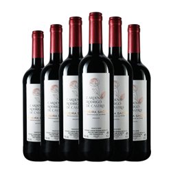 Soutelo Cardenal Rodrigo de Castro Seco Ribeira Sacra 75 cl Vino Tinto (Caja de 6 unidades)