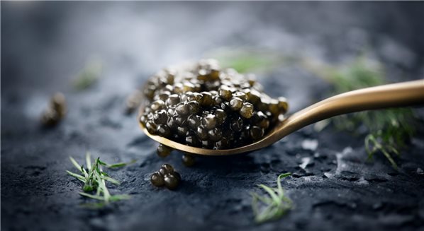 SPHERIKA, Caviar d'esturgeon-detalle