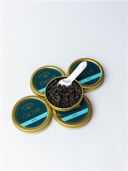 SPHERIKA, Caviar d'esturgeon-trasera