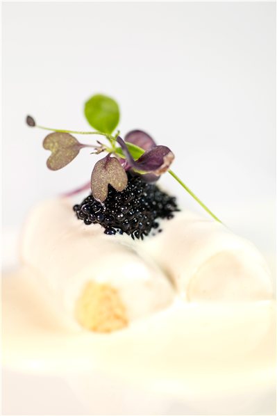 SPHERIKA, huevas negras de lumpo-lateral
