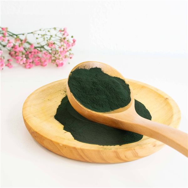 Spirulina en Polvo Eco-lateral