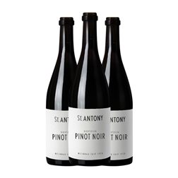 St. Antony Nierstein Pinot Negro Trocken — Seco Rheinhessen 75 cl Vino Tinto (Caja de 3 unidades)