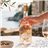Studio By Miraval Rosé 2025-detalle