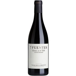 Suertes del Marqués 7 Fuentes 2021