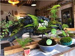 Taller de Micro jardines