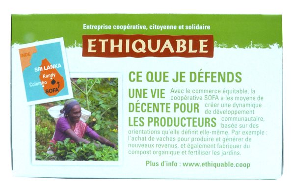 Thé vert gingembre menthe poivrée BIO 20 sachets, 36 g-izquierda