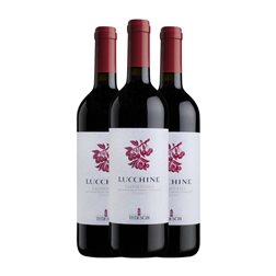 Tedeschi Lucchine Trocken — Seco Valpolicella Classico — Clásico 75 cl Vino Tinto (Caja de 3 unidades)