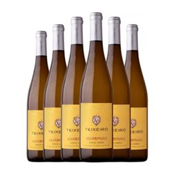 Teixeiro Albariño Vinho Verde Joven 75 cl Vino Blanco (Caja de 6 unidades)