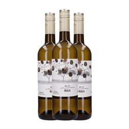 Telmo Rodríguez Basa Rueda Botella Magnum 1,5 L Vino Blanco (Caja de 3 unidades)