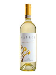 Tenuta Carretta Cayega Roero