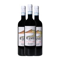 Tenuta Sorrentino Vesuvio Vesuvio 75 cl Vino Tinto (Caja de 3 unidades)