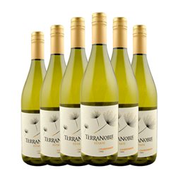 Terra Noble Chardonnay Trocken — Seco Valle del Maule Estate Wine — Vino de Finca 75 cl Vino Blanco (Caja de 6 unidades)