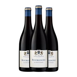 Thibault Liger-Belair Les Deux Terres Bourgogne 75 cl Vino Tinto (Caja de 3 unidades)