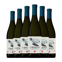 Thunder Wine Makers La Tortuga Veloz Rueda 75 cl Vino Blanco (Caja de 6 unidades)