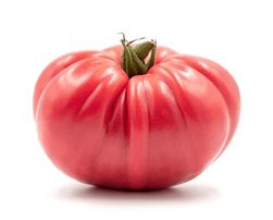 Tomate asurcado Rosa BIO - 1kg