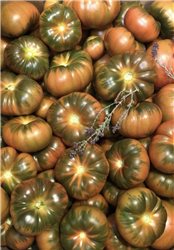 Tomate Auténtico Raf