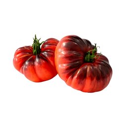 Blaue Bio-Tomate - 500g