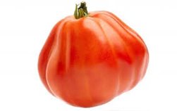 La traducción de "TOMATE CORAZÓN" al alemán es "HERZ TOMATE". Si necesitas algo más específico o diferente, házmelo saber.