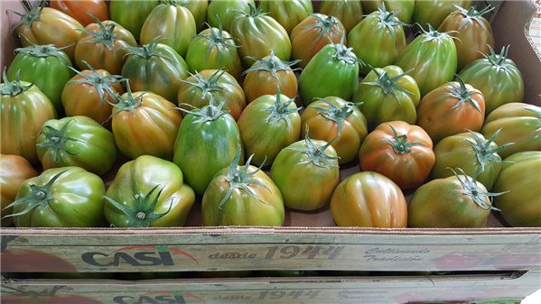 La traducción de "TOMATE CORAZÓN" al francés es "TOMATE CŒUR".-trasera