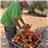 Salad tomato-trasera