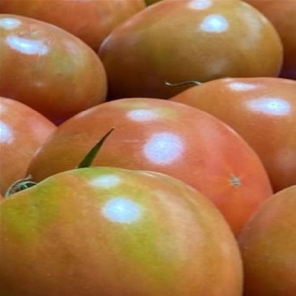 Raf salad tomato-detalle