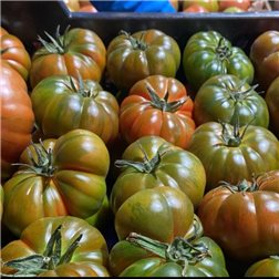 Raf salad tomato