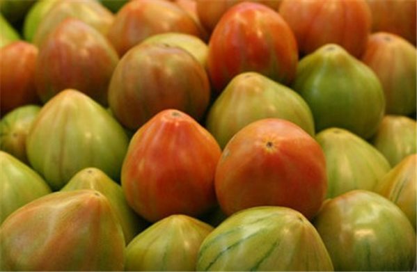 TOMATE AUS DEM BODEN-trasera