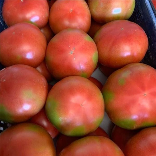 “Tomate Extremeño” - Caja de 2kg-trasera