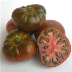 Tomate ibérique pata negra